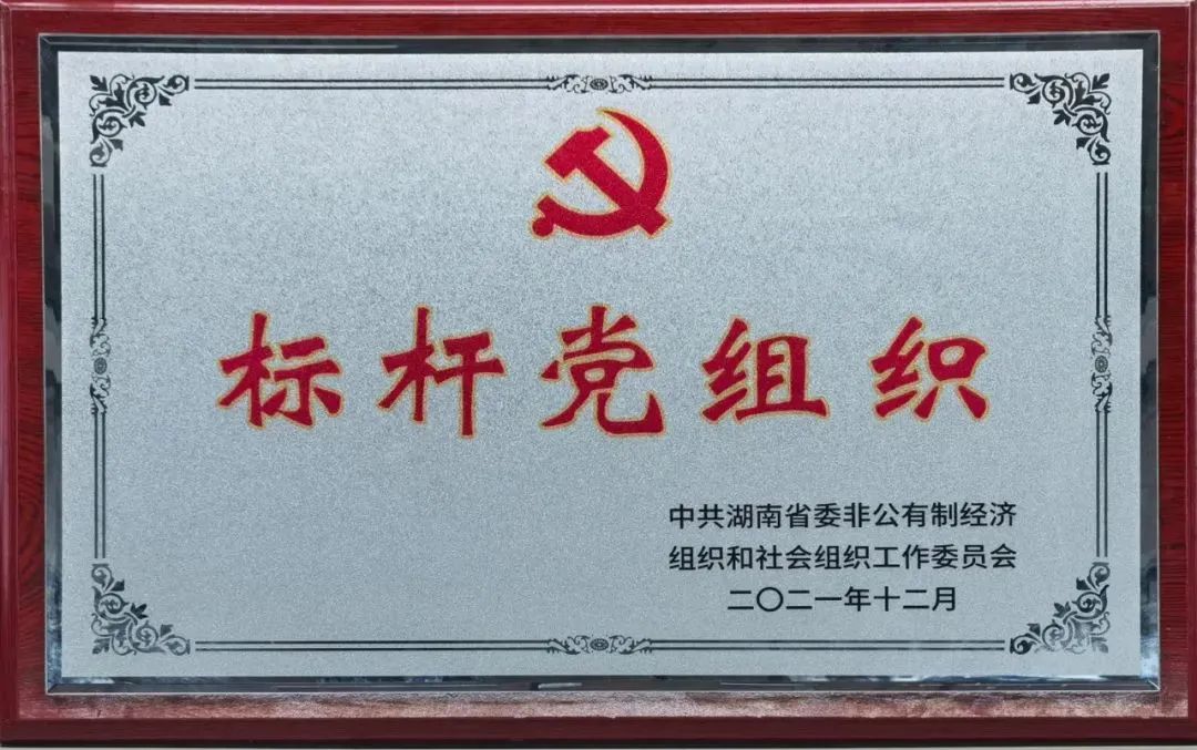 党建品牌亮起来！GA黄金甲智能党委获评“标杆党组织”