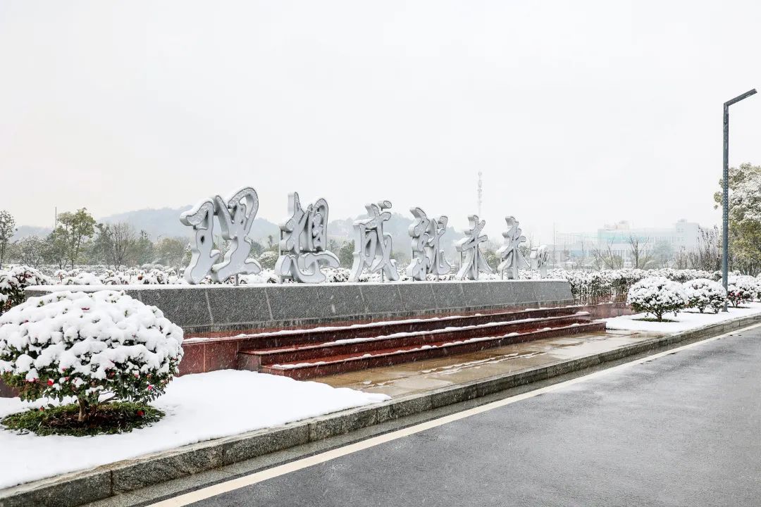 瑞雪兆丰年，邀您共赏雪中GA黄金甲！